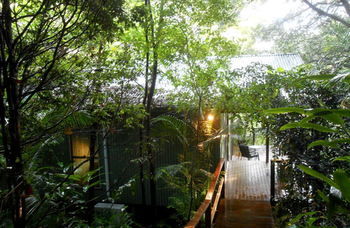Treetops Accommodation Montville - Accommodation Nelson Bay 12