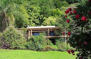 Treetops Accommodation Montville - Accommodation Nelson Bay 14