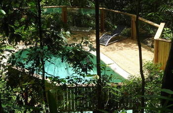 Treetops Accommodation Montville - Accommodation Nelson Bay 16