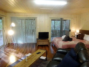 Treetops Accommodation Montville - Accommodation Nelson Bay 19
