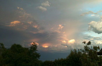 Treetops Accommodation Montville - Accommodation Nelson Bay 27