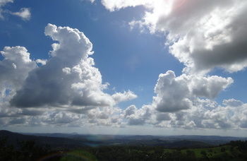 Treetops Accommodation Montville - Accommodation Nelson Bay 28