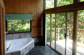 Treetops Accommodation Montville - Accommodation Nelson Bay 36