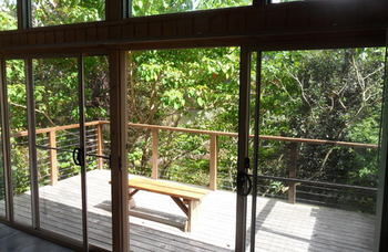 Treetops Accommodation Montville - Accommodation Nelson Bay 51