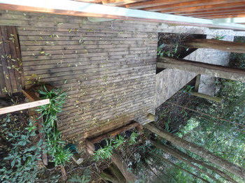 Treetops Accommodation Montville - Accommodation Nelson Bay 53