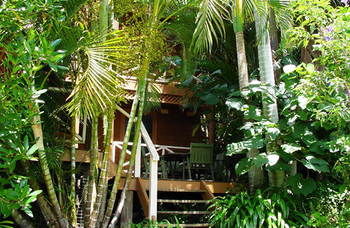Treetops Accommodation Montville - Accommodation Nelson Bay 54