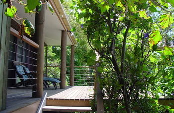 Treetops Accommodation Montville - Accommodation Nelson Bay 59