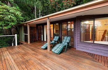 Treetops Accommodation Montville - Accommodation Nelson Bay 61
