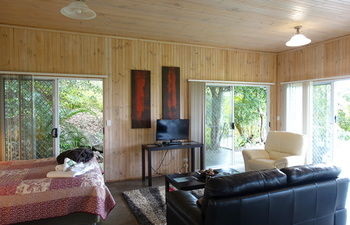 Treetops Accommodation Montville - Accommodation Nelson Bay 64