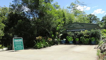 Treetops Accommodation Montville - Accommodation Nelson Bay 67