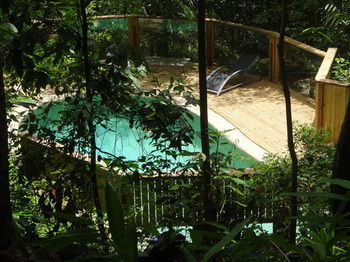 Treetops Accommodation Montville - Accommodation Nelson Bay 74