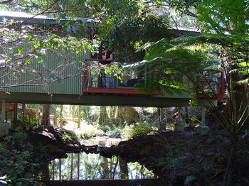 Treetops Accommodation Montville - Accommodation Nelson Bay 87