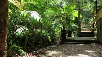 Treetops Accommodation Montville - Accommodation Nelson Bay 89