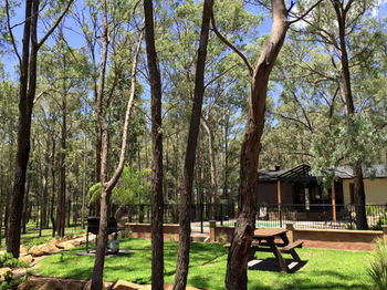 Belford Cottages - Accommodation Nelson Bay 10