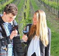 Valley Farm Vineyard Cottages - Accommodation Nelson Bay