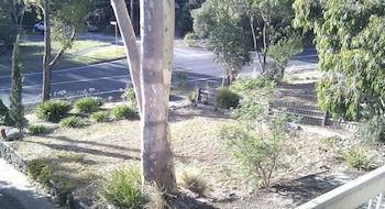 Eltham Retreat - Accommodation Nelson Bay 4