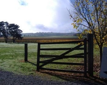 Yering Farm Wines - Accommodation Nelson Bay 10
