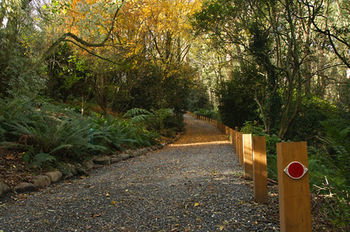 Santosa Cottage - Accommodation Nelson Bay 8