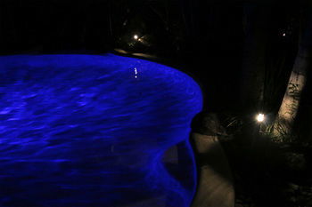 Alaya Escape - Accommodation Nelson Bay 34