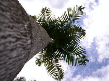 Alaya Escape - Accommodation Nelson Bay 39