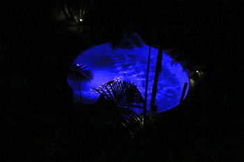 Alaya Escape - Accommodation Nelson Bay 44