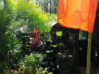 Alaya Escape - Accommodation Nelson Bay 53