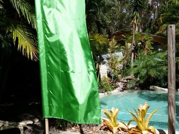 Alaya Escape - Accommodation Nelson Bay 54