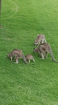 Villa Christian At Cypress Lakes Resort - Accommodation Nelson Bay 53