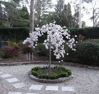 Corner Manor Leura - Accommodation Nelson Bay