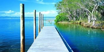 Orangewood At Peregian Beach - Accommodation Nelson Bay 10