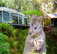 Huon Bush Retreats - Accommodation Nelson Bay