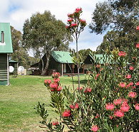 Derwent Bridge Chalets  Studios - Accommodation Nelson Bay