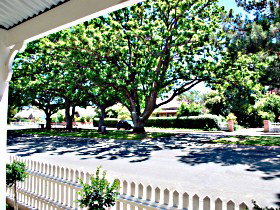 Arendon Cottage - Nelsons Bay Accommodation 1