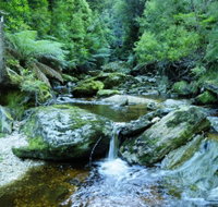 Tarkine Wilderness Experience at Corinna - Accommodation Nelson Bay