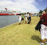 Lakeside Tourist Caravan Park - Accommodation Nelson Bay