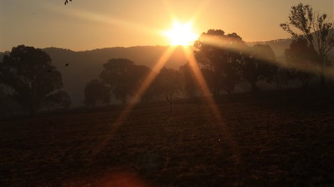 Gentle Annie Caravan And Camping Reserve - Accommodation Nelson Bay 1