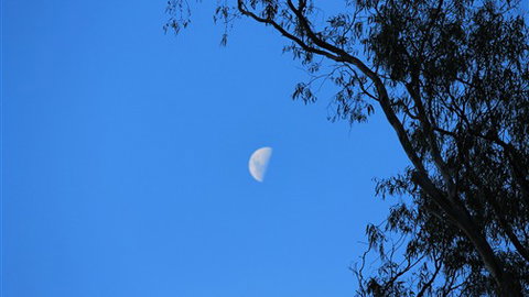 Gentle Annie Caravan And Camping Reserve - Accommodation Nelson Bay 4