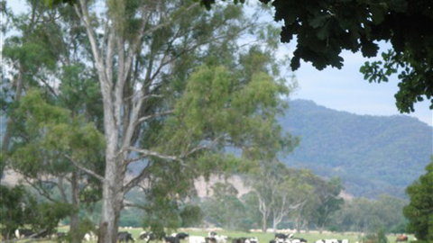 Gentle Annie Caravan And Camping Reserve - Accommodation Nelson Bay 3