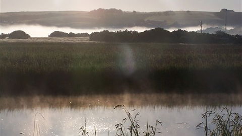 Clifton Beach Lodge - Accommodation Nelson Bay 4