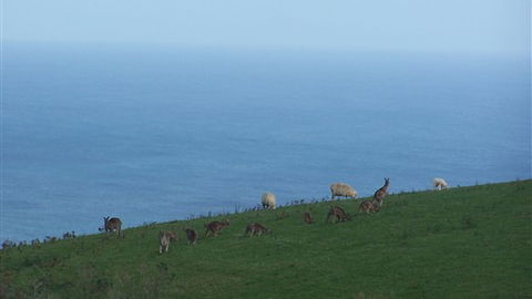 Clifton Beach Lodge - Accommodation Nelson Bay 5
