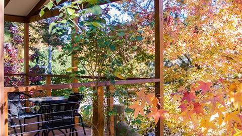 BIG4 Bright Holiday Park - Accommodation Nelson Bay 2