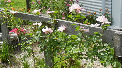 Willy's Holiday House - Accommodation Nelson Bay 4