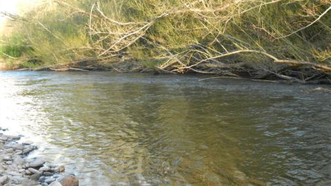 Willy's Holiday House - Accommodation Nelson Bay 6