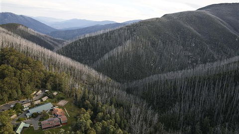 Howmans Gap Alpine Centre, YMCA - Accommodation Nelson Bay 0