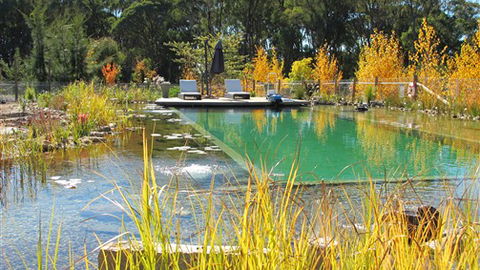 Planetrees Estate  - Accommodation Nelson Bay 5