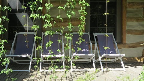 Planetrees Estate  - Accommodation Nelson Bay 7