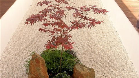 Shizuka Ryokan Japanese Country Spa & Wellness Retreat - Accommodation Nelson Bay 6