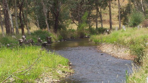 Murphy's Cabin - Accommodation Nelson Bay 0