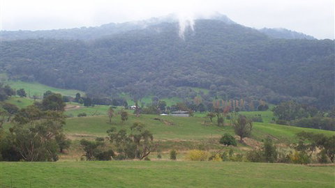 Murphy's Cabin - Accommodation Nelson Bay 1