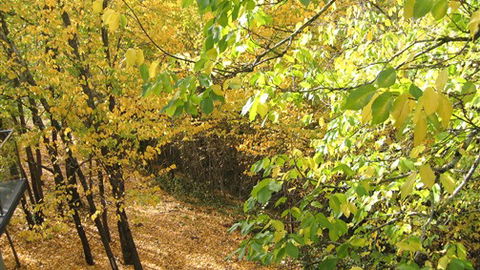 Saltus Luxury Accommodation - Accommodation Nelson Bay 6